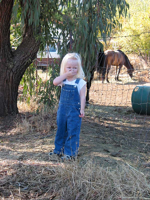 The little ranch girl